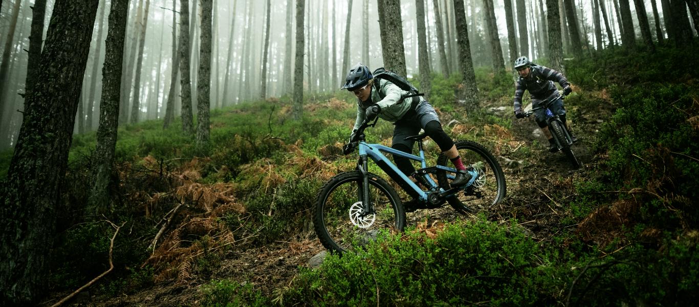 Tienda De Equipos Gobik 3 Tienda De Equipos Gobik -Tienda De Equipos Gobik Bosch CVR